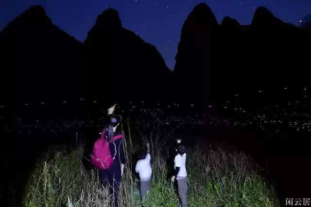 探索冷知识,尽在为什么科目三计划人数只有6个呢?平台!